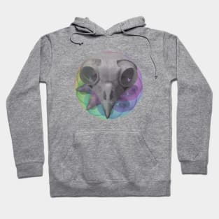 Chromatic Bird Skull Hoodie